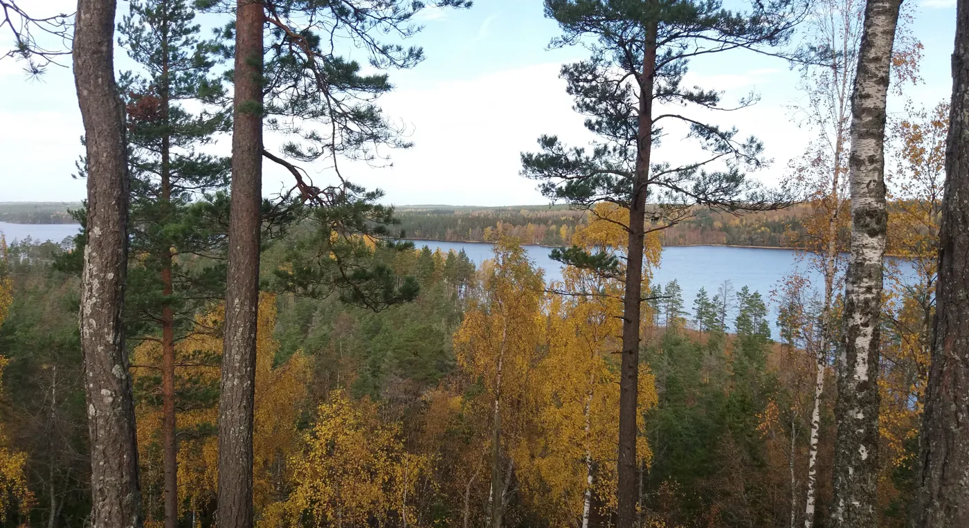 Utsikt över en sjö genom träden.