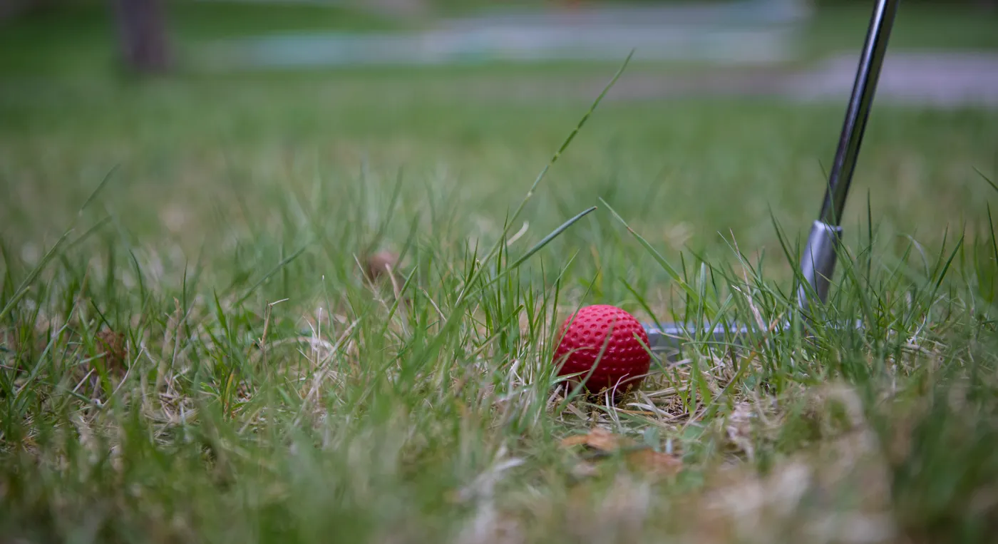 En golfklubba och en röd boll i gräset.