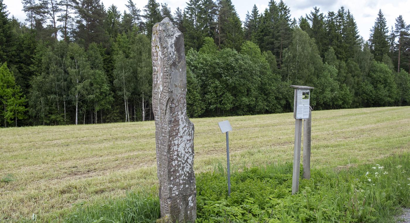 En stor runsten som står på ett fält intill en skog.