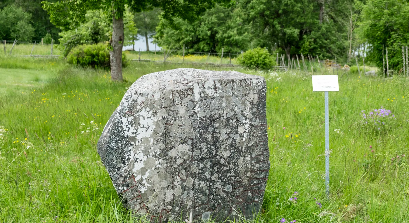 En stor runsten som ligger mitt i ett grönskande fält.