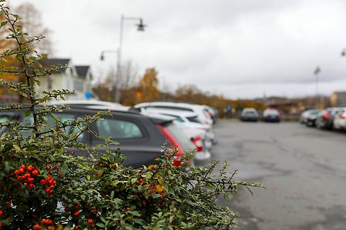 Parkerade bilar i centrum.